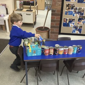 Social  justice project