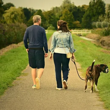 Couple, love, outdoors, walking, pair, dog, animal, nature, mammal, canine, pet, man, male, boy, woman, female, girl, romance, relationship, together, joy, happiness