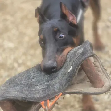 Whatsapp Image 2025-11-03 At 08