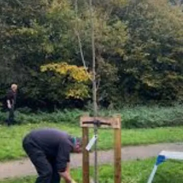 Bolesworth Memorial tree