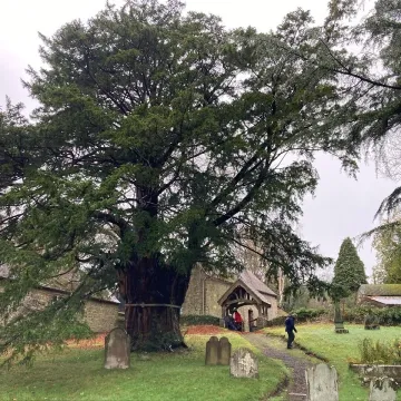 Dd77d838-185b-438f-8556-773b760bd969