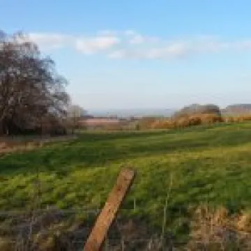 Pheasant Inn walk 2015