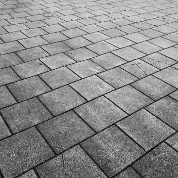 Image-Large-Wp2-902197