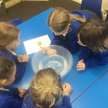 03544239-4c6f-47f7-A076-8fa7eccbb312