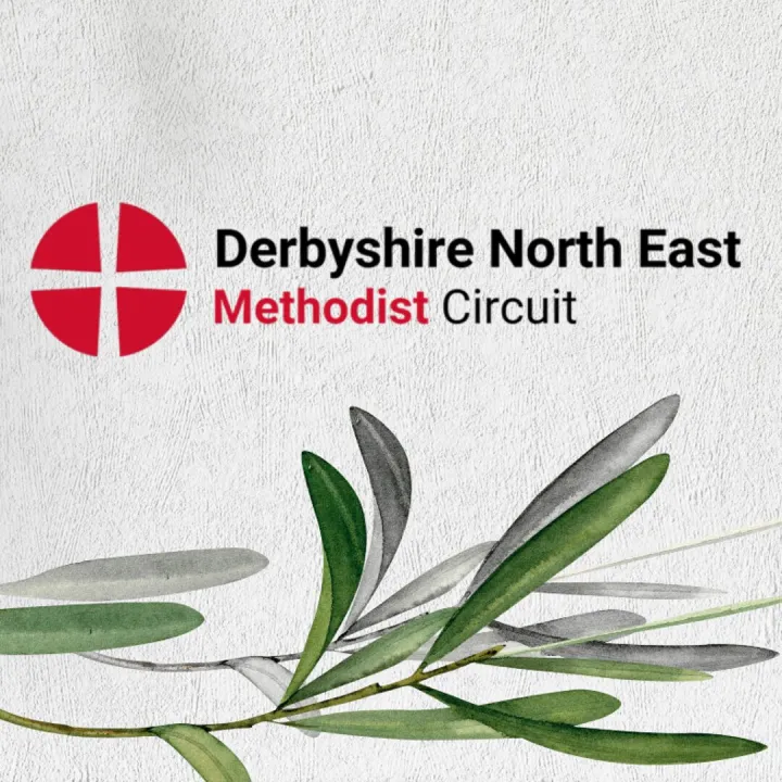 Newsletter Background (Facebook Post)