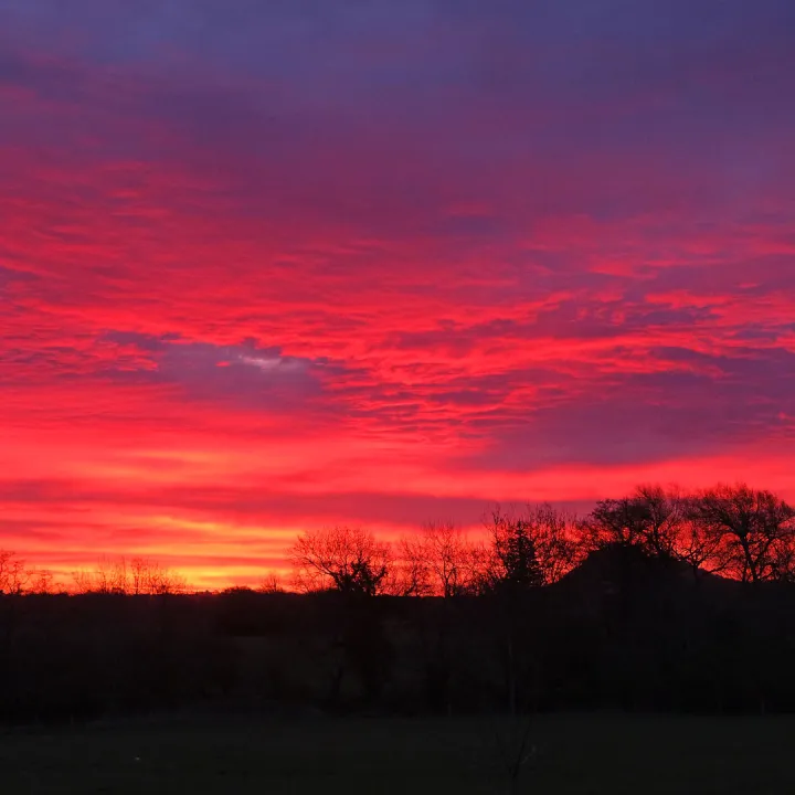 RR Shepherd's Warning F9184