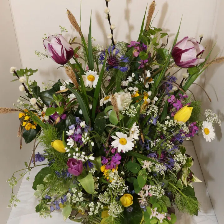 Img_8220 &ndash; Copy