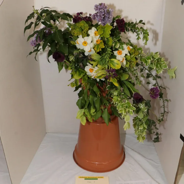 Img_8222 &ndash; Copy