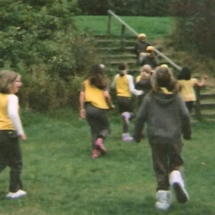 Brownies pack holiday