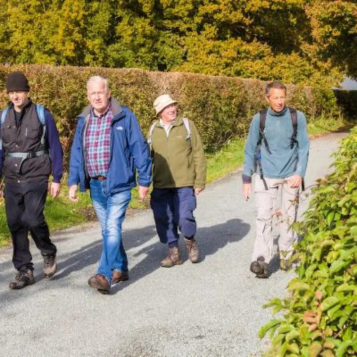 Sandstone Ridge   Walkers in Autumn 56