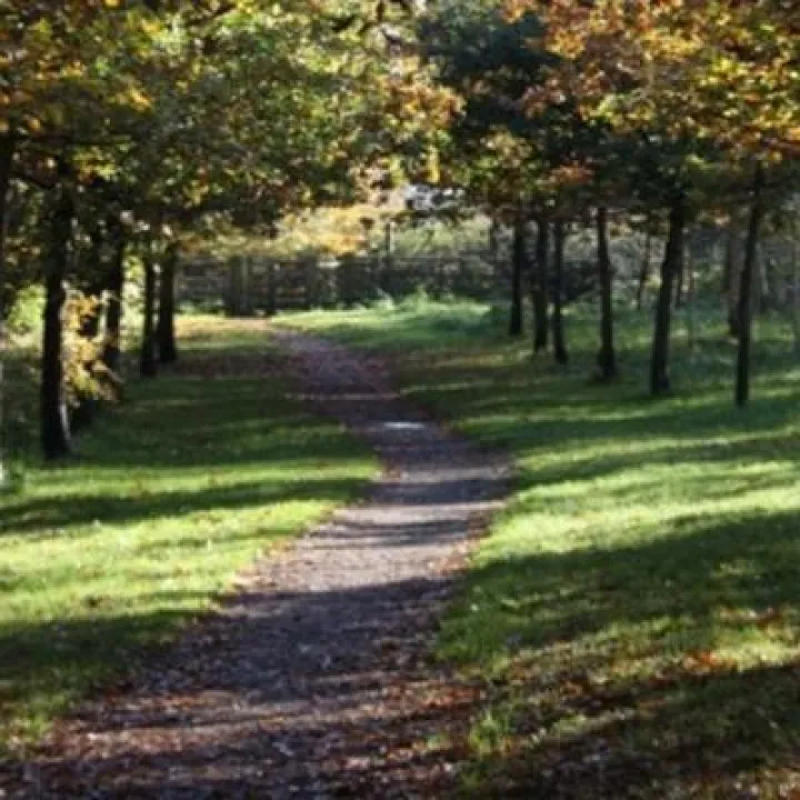 Tarvin Community Woodland