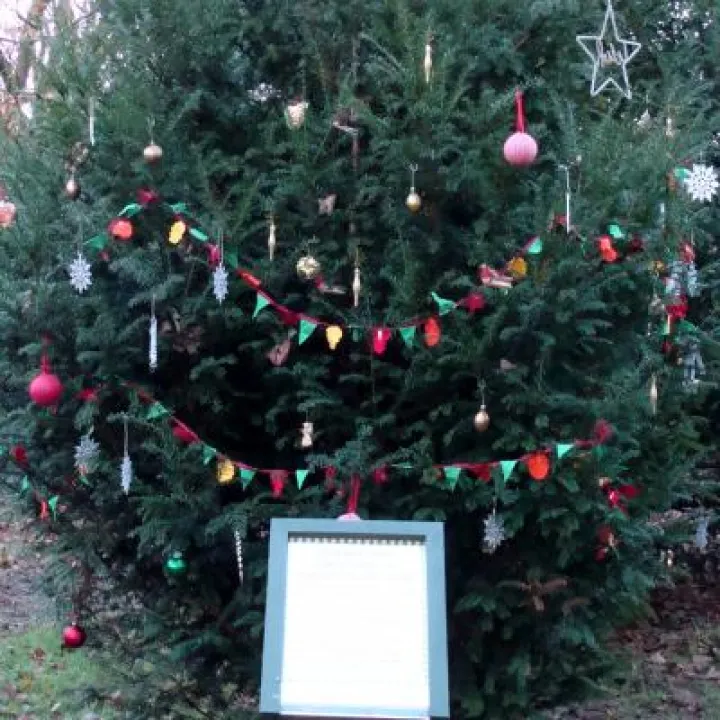 TWT Christmas Tree 2017 With Rules Notice