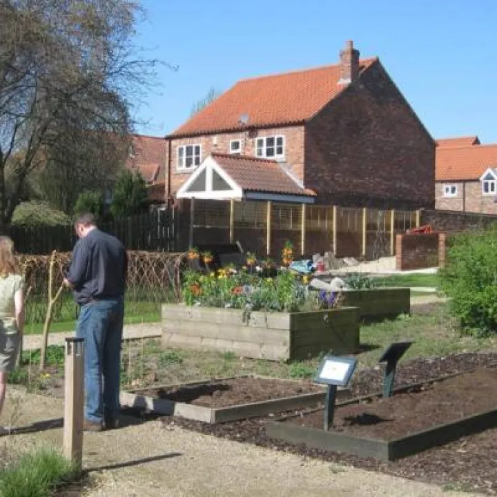 Acomb garden 3