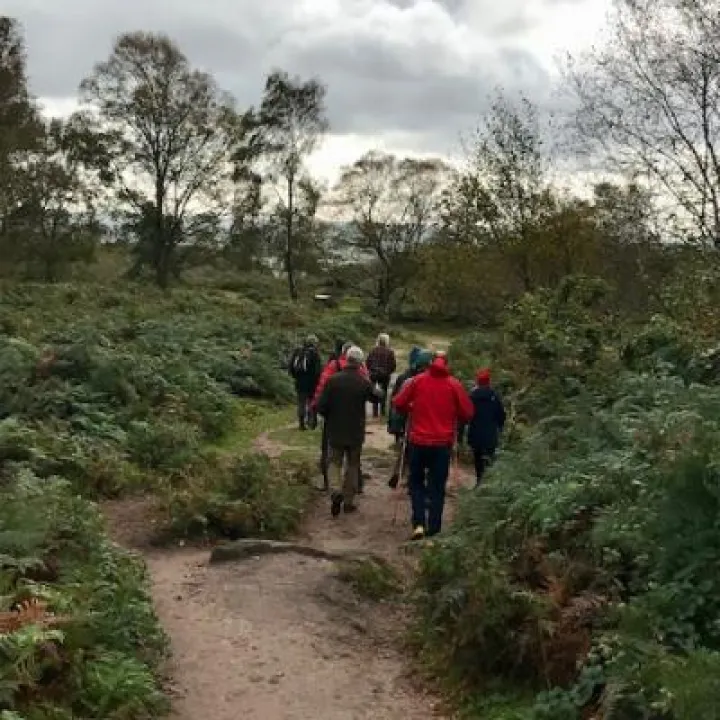 Bickerton Geology Walk