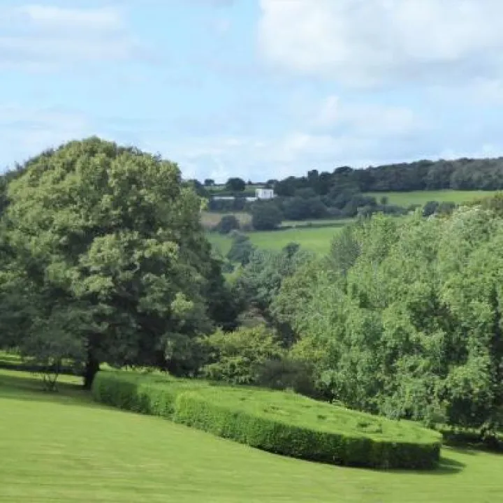 Foxhill Event &ndash; Privet Maze from Foxhill House