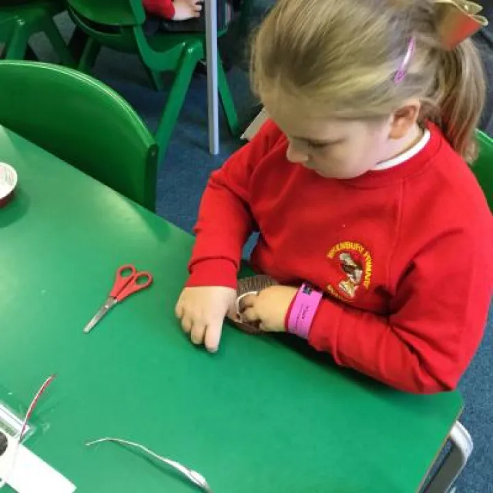 Image: 271D9DD3-A3BB-46B3-B394-50F1C8E05D89