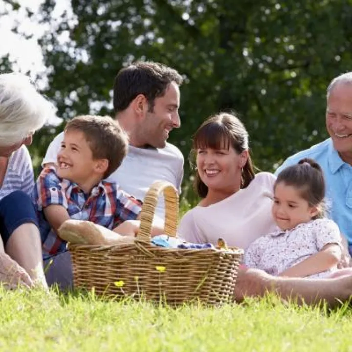 Picnic basket