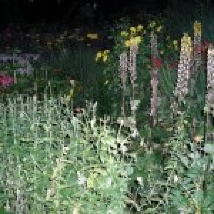 Woollerton Hall Market Drayton 011