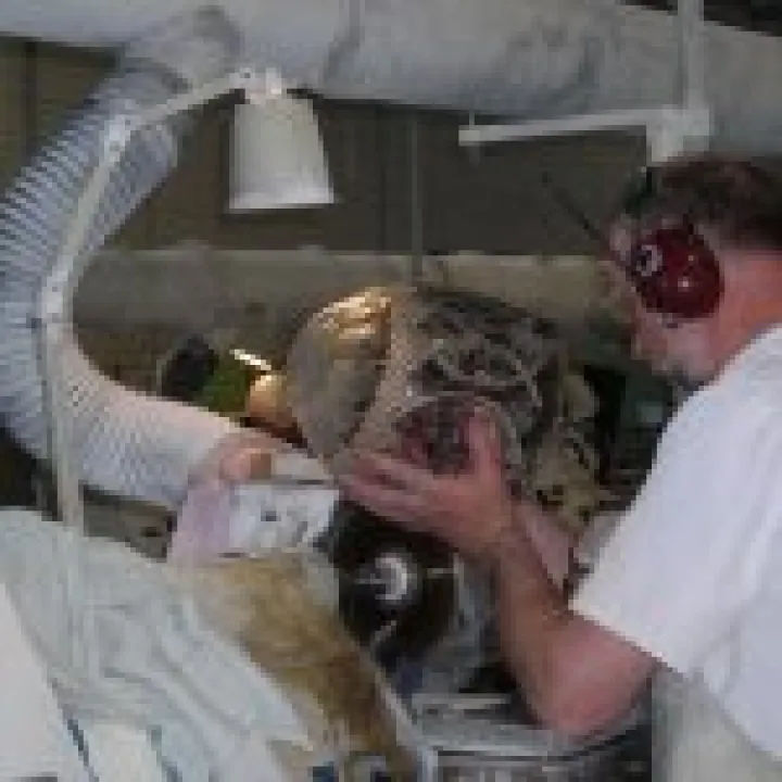 Probus Ireland Visit 2008 009