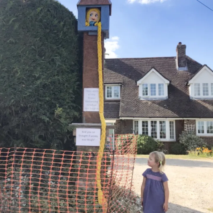 Image: 090_DianneBrackley_Repunzle