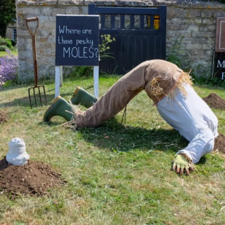 Image: 043 Manor Farm Pesky Moles 02