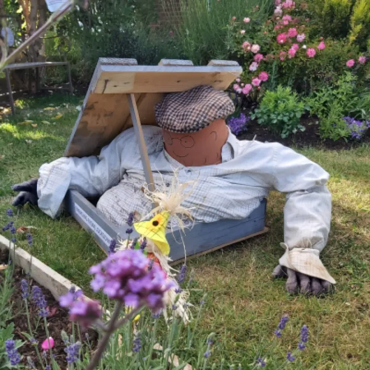 Image: 003 Giles Flaxton Emerging from Lockdown