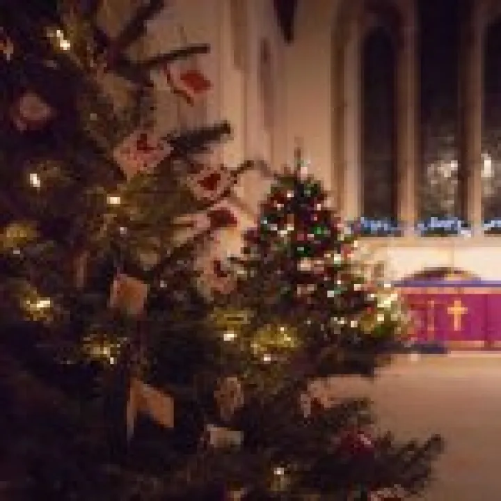 Christmas Tree Festival 08