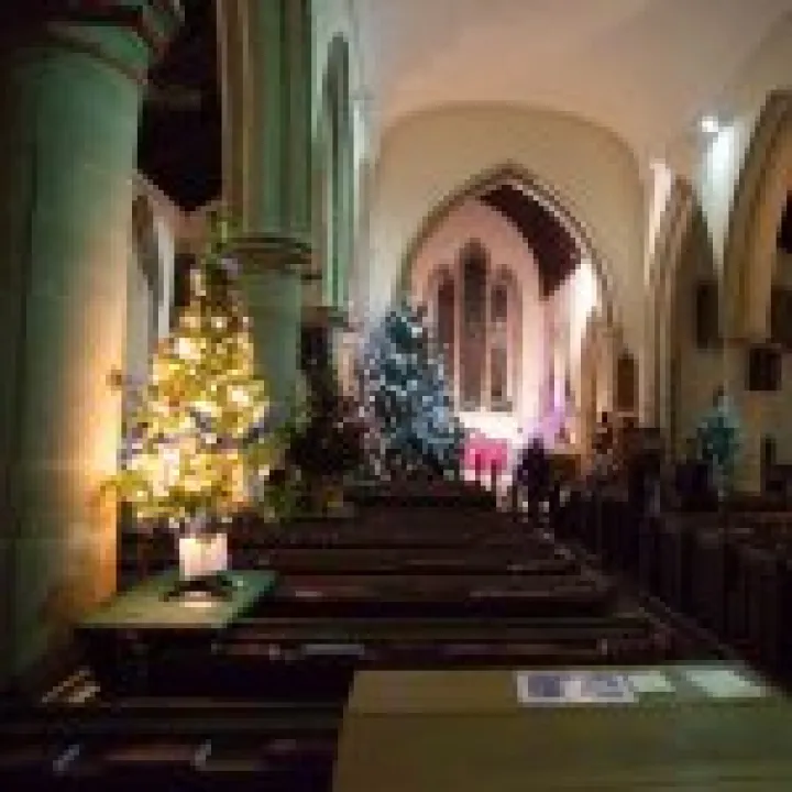 Christmas Tree Festival 13