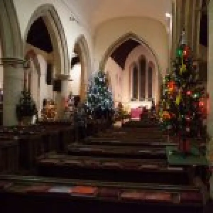 Christmas Tree Festival 14