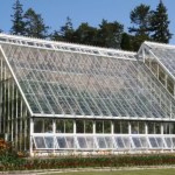 Northumbria 2009 072