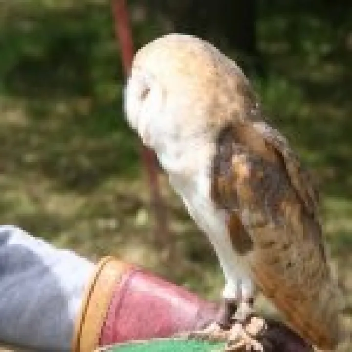 Northumbria 2009 007