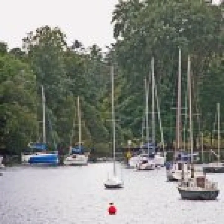 Canon 350D Feb2010 413