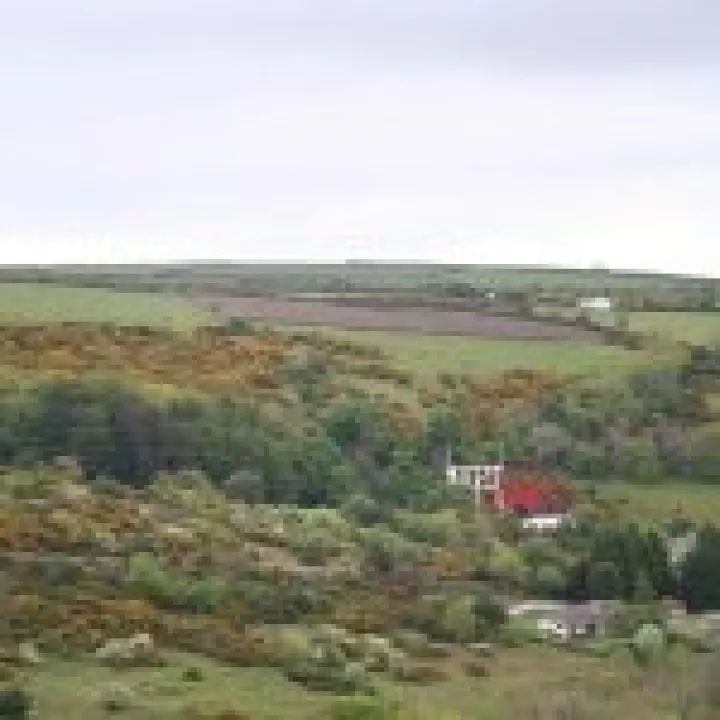 20070517 0066