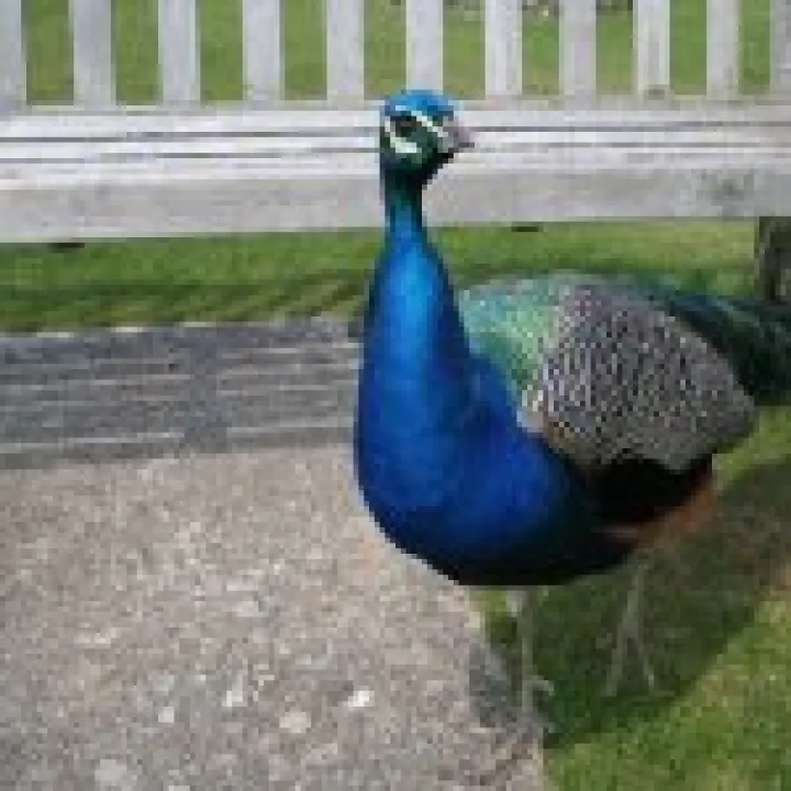 20060511 0061