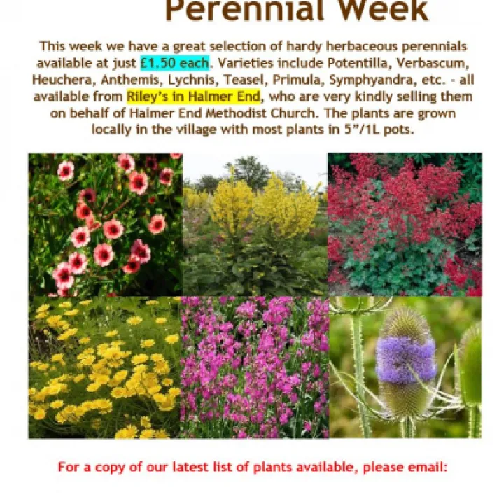 Rileys Flyer 26-04-21