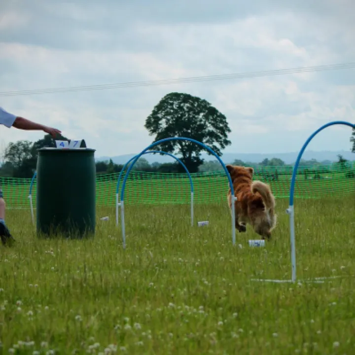 Ruby and Dan on course