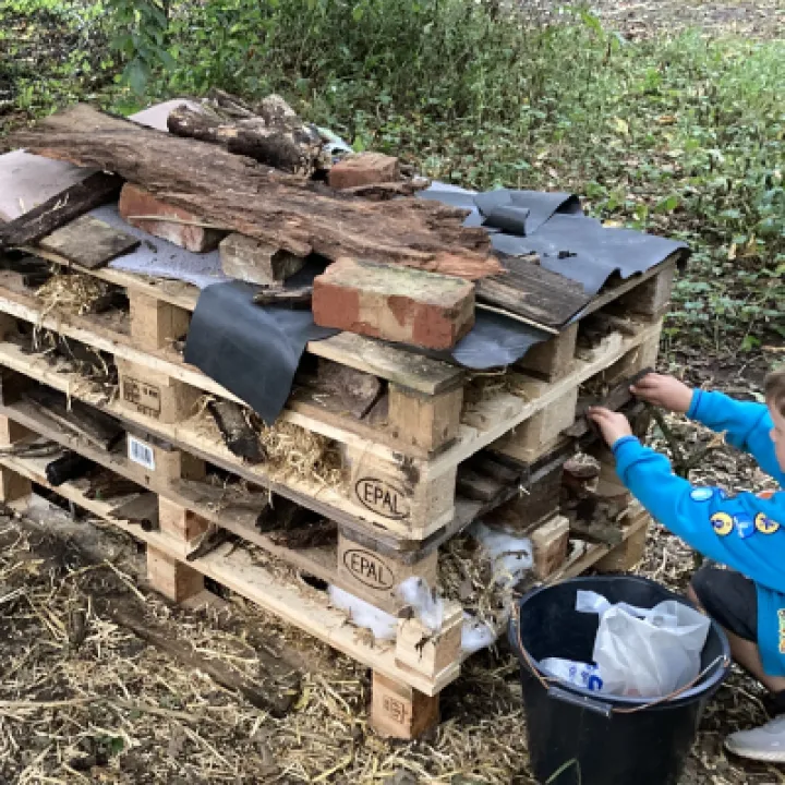 Beavers Bug Hotel in Tarvin Woodlands