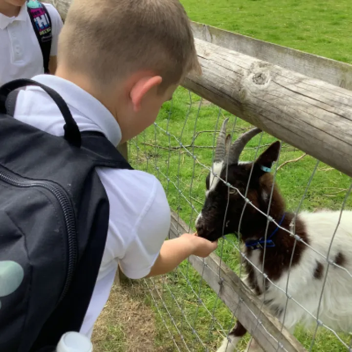 CE21E382-CF94-489F-AC05-80DF8953D367