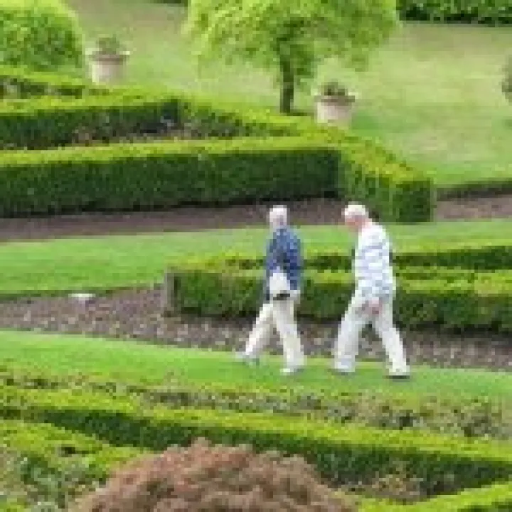 Drummond Gardens jpg13