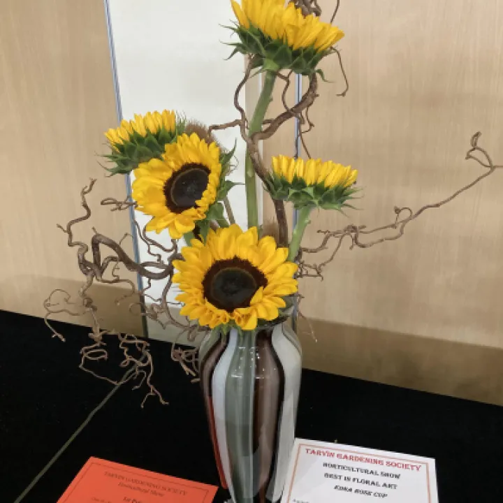 THS Floral Art  IMG_0125[358014]