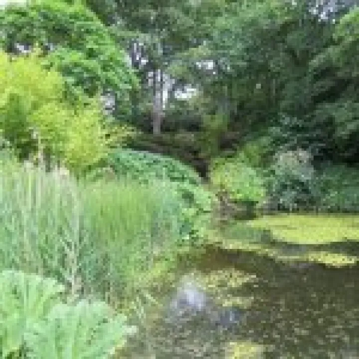 Ness Gardens jpg35