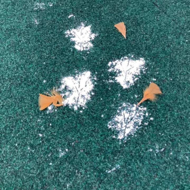 559D107E-F19E-47CD-9245-E0D96DE72252