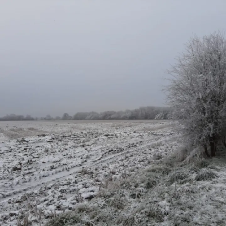 Winter View Field Potters Lane