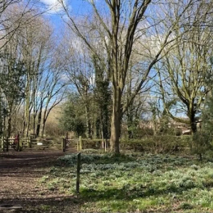 Keith Barker Photos March 2023 Be8da56c 5ef2 4d76 b0c9 c9441e414130_4_5005_c