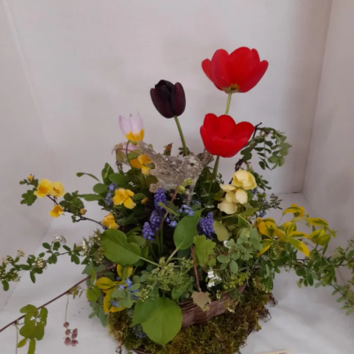 Image: 20230429 105206