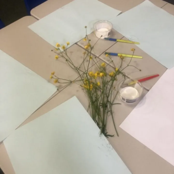 Messy Stars PHOTO 13