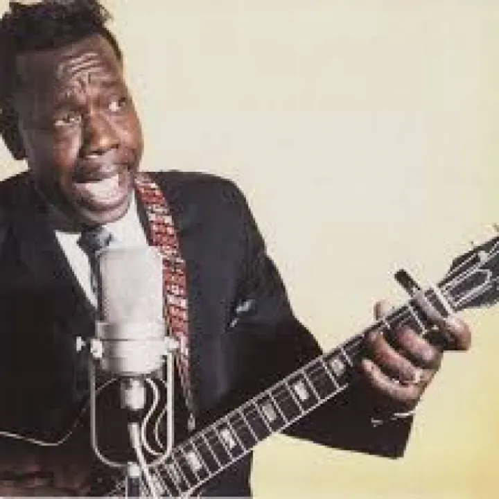 Slim harpo
