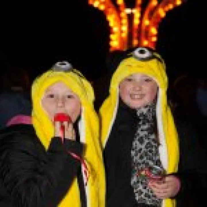 School Fireworks Night 06