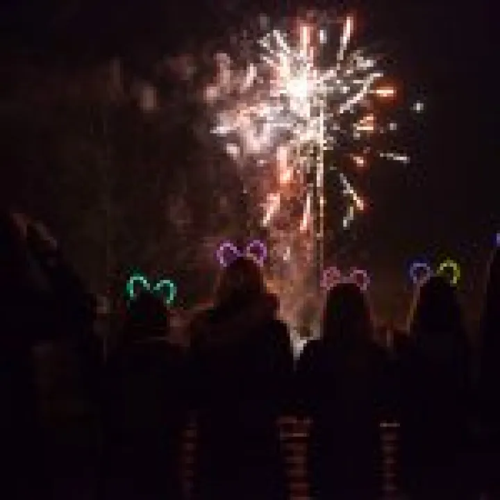 School Fireworks Night 34