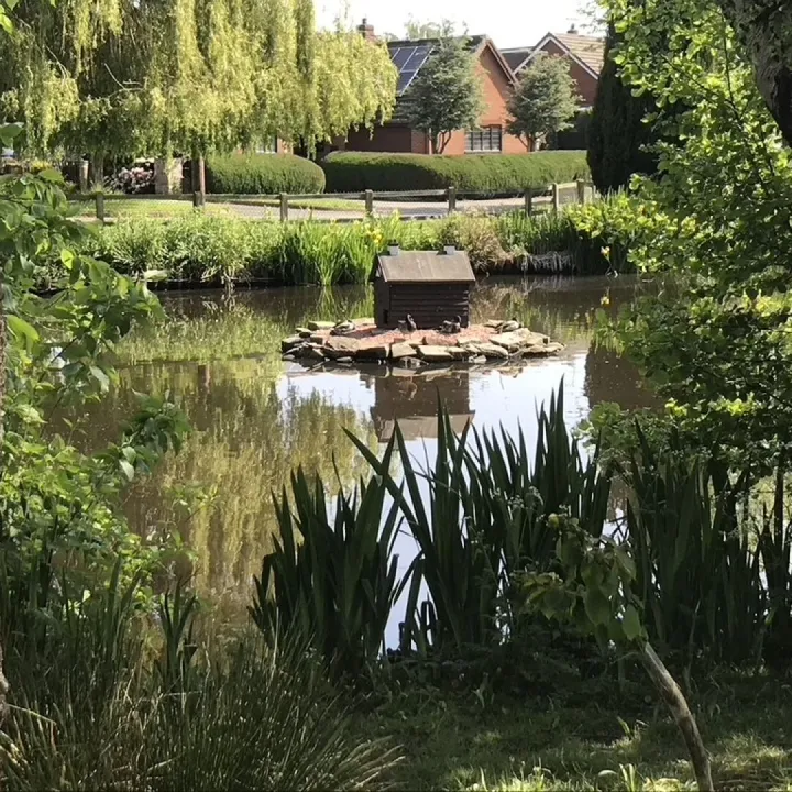 Hankelow Village Pond